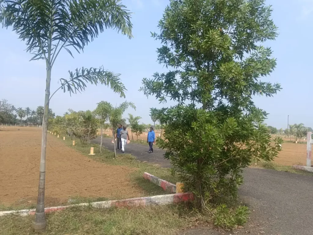 Best Travel Agency in Chennai | Ruuraa Holidays Pvt Ltd