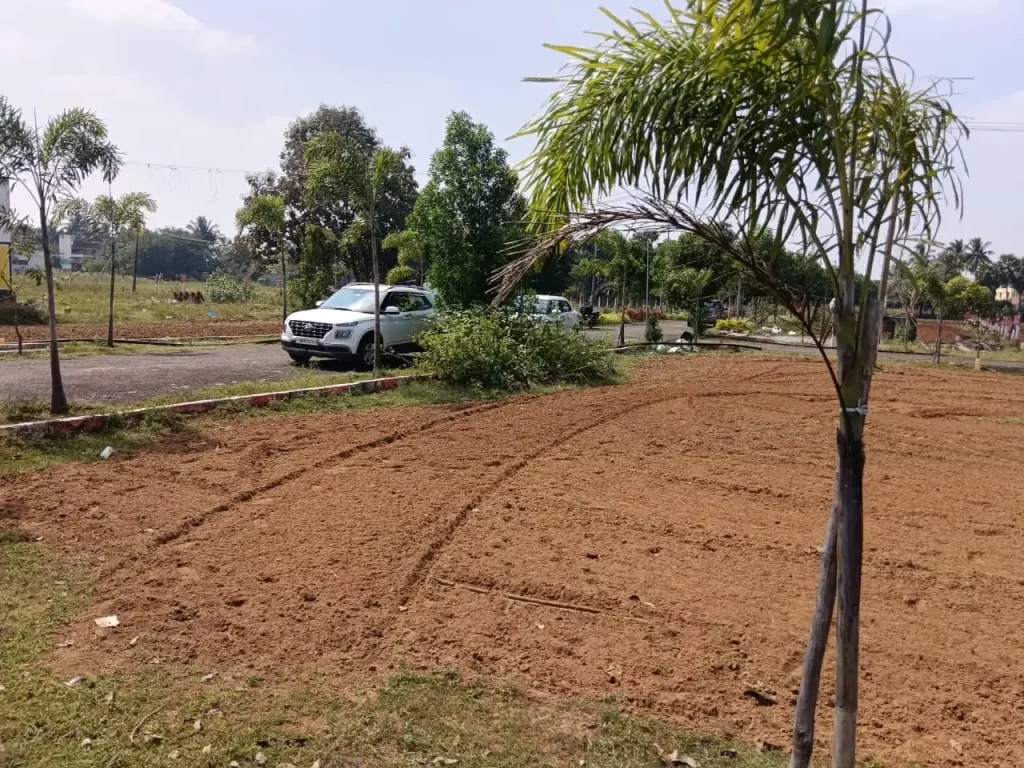 Best Travel Agency in Chennai | Ruuraa Holidays Pvt Ltd