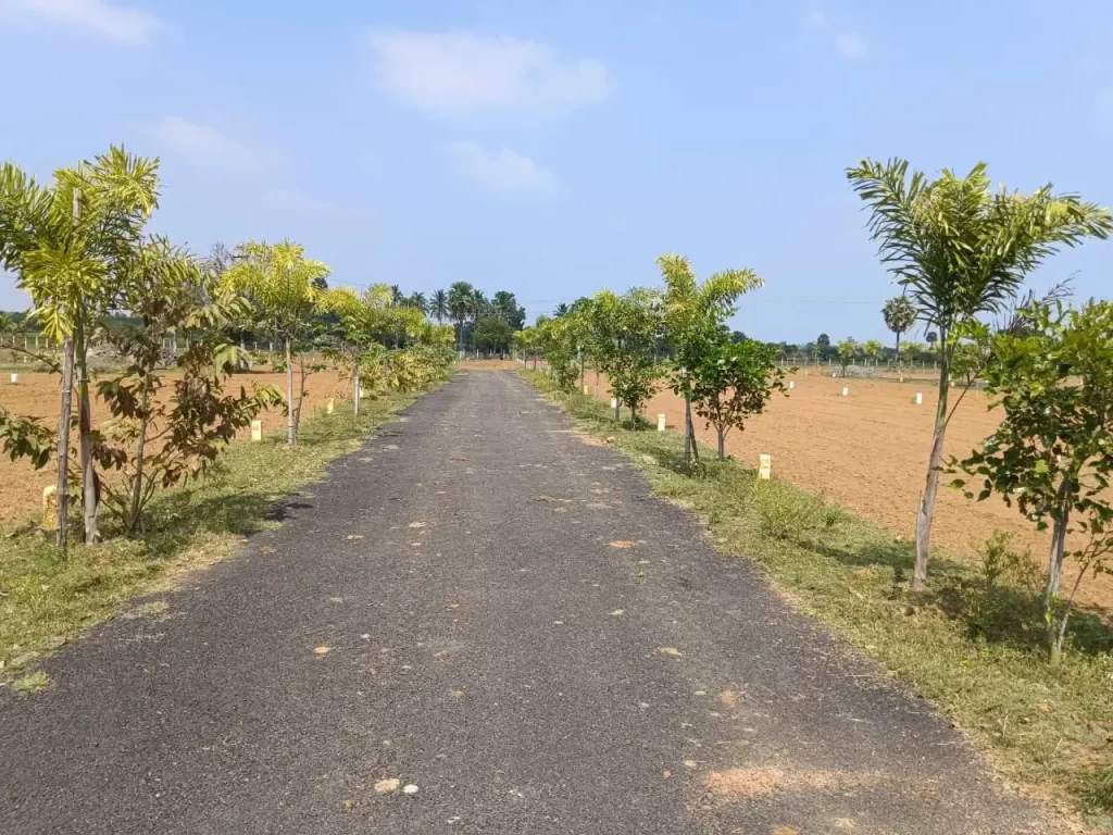 Best Travel Agency in Chennai | Ruuraa Holidays Pvt Ltd