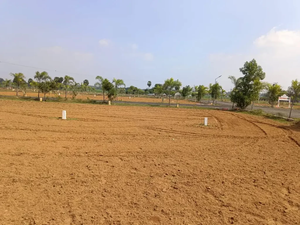 Best Travel Agency in Chennai | Ruuraa Holidays Pvt Ltd